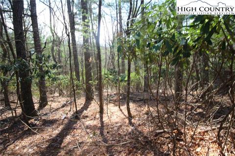 1168 Cox Rd, Jefferson, NC 28640 photo 9