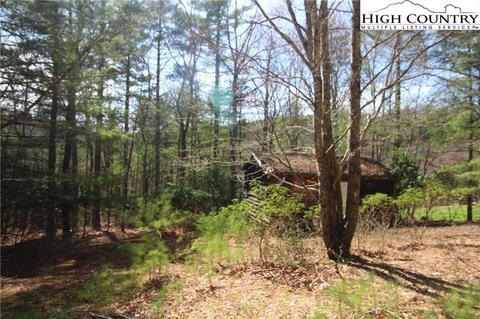 1168 Cox Rd, Jefferson, NC 28640 photo 5