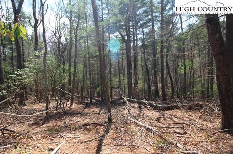 1168 Cox Rd, Jefferson, NC 28640 photo 4