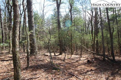 1168 Cox Rd, Jefferson, NC 28640 photo 10