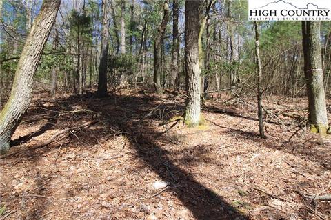 1168 Cox Rd, Jefferson, NC 28640 photo 13