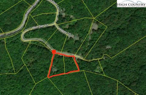 422 Wolf Den Ln, Lenoir, NC 28645 photo 29