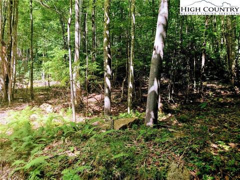 103 105 Sage Knl, Beech Mountain, NC 28604 photo 1