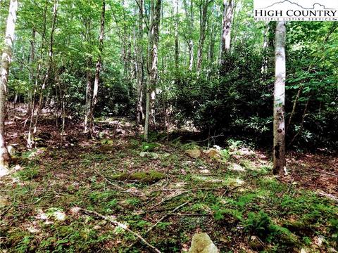 103 105 Sage Knl, Beech Mountain, NC 28604 photo 2