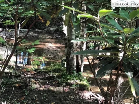 100 E Blueberry Ln, Beech Mountain, NC 28604 photo 6