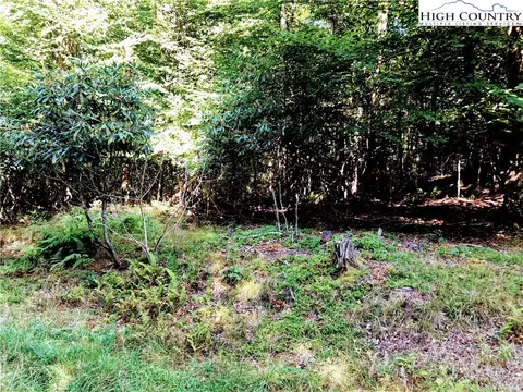 100 E Blueberry Ln, Beech Mountain, NC 28604 photo 3