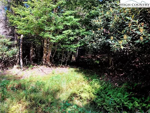 100 E Blueberry Ln, Beech Mountain, NC 28604 photo 5