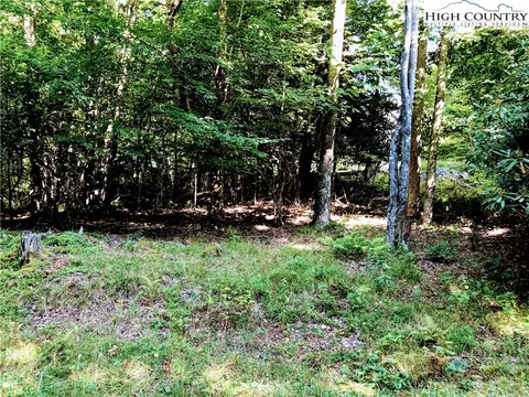 100 E Blueberry Ln, Beech Mountain, NC 28604 photo 9