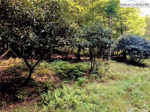100 E Blueberry Ln, Beech Mountain, NC 28604 photo 8
