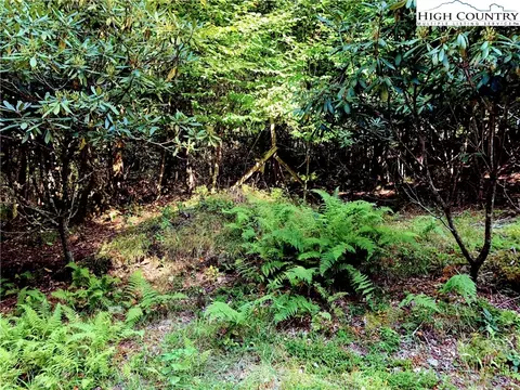 100 E Blueberry Ln, Beech Mountain, NC 28604 photo 1