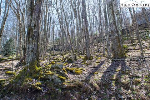 219 Lakeledge Rd, Beech Mountain, NC 28604 photo 2