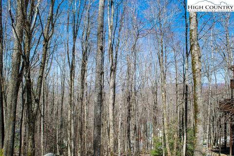 219 Lakeledge Rd, Beech Mountain, NC 28604 photo 1