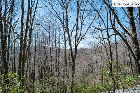 126 Rhododendron Dr, Beech Mountain, NC 28604 photo 1