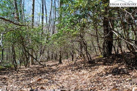 126 Rhododendron Dr, Beech Mountain, NC 28604 photo 2