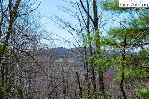 126 Rhododendron Dr, Beech Mountain, NC 28604 photo 3