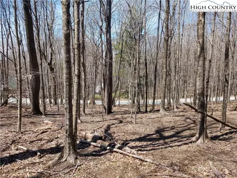 158 Pond Creek Rd, Beech Mountain, NC 28604 photo 3