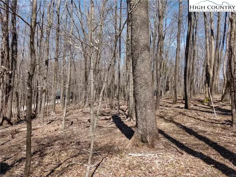158 Pond Creek Rd, Beech Mountain, NC 28604 photo 2