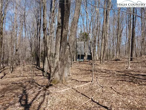 158 Pond Creek Rd, Beech Mountain, NC 28604 photo 4