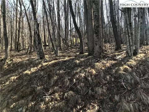 119 Whipporwill Way, Beech Mountain, NC 28604 photo 2
