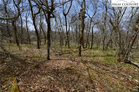 108 Oz Cir, Beech Mountain, NC 28604 photo 10