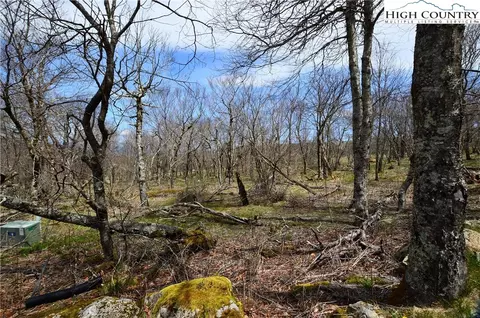 108 Oz Cir, Beech Mountain, NC 28604 photo 4