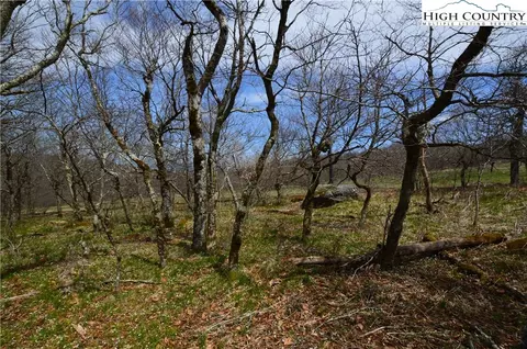 108 Oz Cir, Beech Mountain, NC 28604 photo 8