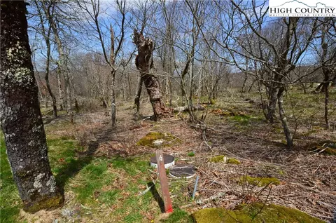 108 Oz Cir, Beech Mountain, NC 28604 photo 3