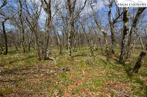 108 Oz Cir, Beech Mountain, NC 28604 photo 9
