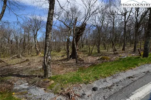 108 Oz Cir, Beech Mountain, NC 28604 photo 5