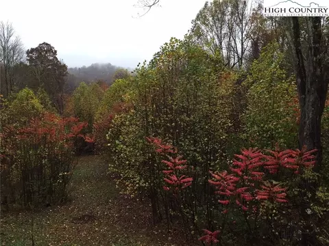 3034 Peak Rd, Creston, NC 28615 photo 37