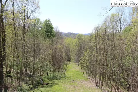 3034 Peak Rd, Creston, NC 28615 photo 30