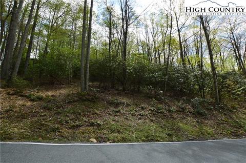 1021 Pine Ridge Rd, Beech Mountain, NC 28604 photo 9