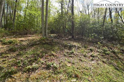 1021 Pine Ridge Rd, Beech Mountain, NC 28604 photo 7