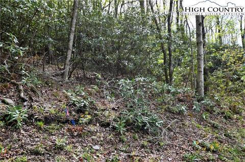 1021 Pine Ridge Rd, Beech Mountain, NC 28604 photo 11