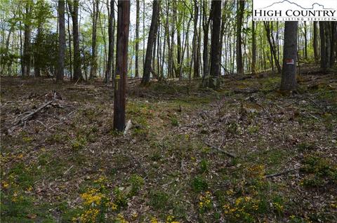 1021 Pine Ridge Rd, Beech Mountain, NC 28604 photo 3