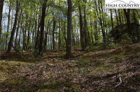 1021 Pine Ridge Rd, Beech Mountain, NC 28604 photo 10