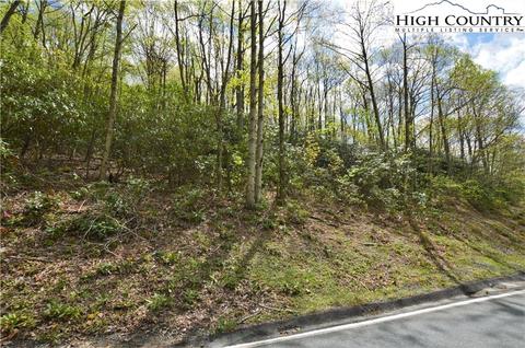 1021 Pine Ridge Rd, Beech Mountain, NC 28604 photo 6