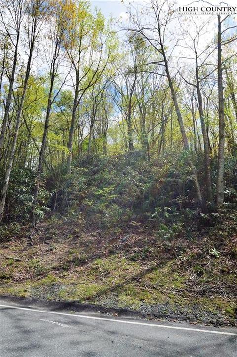 1021 Pine Ridge Rd, Beech Mountain, NC 28604 photo 5