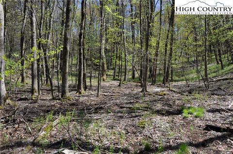 500 Forest Spring Ln, Boone, NC 28607 photo 6