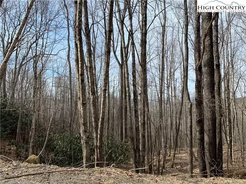 412 Pinnacle Ridge Rd, Beech Mountain, NC 28604 photo 1
