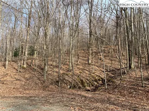 412 Pinnacle Ridge Rd, Beech Mountain, NC 28604 photo 4