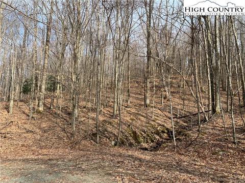 412 Pinnacle Ridge Rd, Beech Mountain, NC 28604 photo 4
