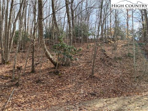 412 Pinnacle Ridge Rd, Beech Mountain, NC 28604 photo 5