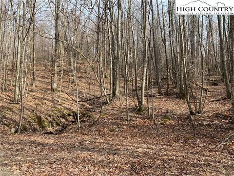 412 Pinnacle Ridge Rd, Beech Mountain, NC 28604 photo 3