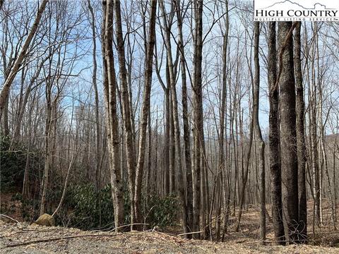 412 Pinnacle Ridge Rd, Beech Mountain, NC 28604 photo 1