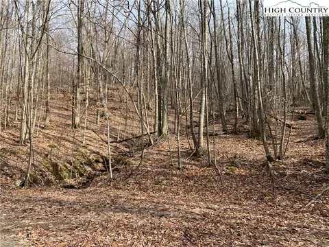 412 Pinnacle Ridge Rd, Beech Mountain, NC 28604 photo 3