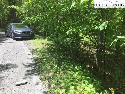 142 Wild Daisy Ln, Beech Mountain, NC 28604 photo 1