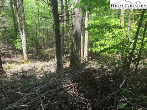 142 Wild Daisy Ln, Beech Mountain, NC 28604 photo 6