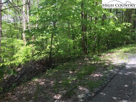 142 Wild Daisy Ln, Beech Mountain, NC 28604 photo 2