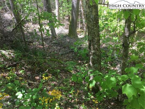 142 Wild Daisy Ln, Beech Mountain, NC 28604 photo 3